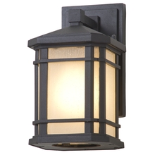 DVI Lighting DVP142000BK-SSD - Cardiff Outdoor Wall Sconce