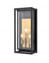 DVI Lighting DVP32372BR+BK-SDY - Blackstone 3 LT OD Sconce