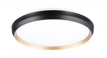 DVI Lighting DVP42138GD+MB - Labrador 14" LED Flush Mount