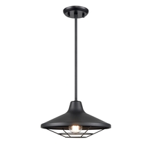 DVI Lighting DVP45920BK - Somerset Outdoor 12 Inch Pendant