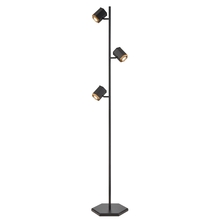 DVI Lighting DVP46609MF+EB - Hexa 3 Light Floor Lamp