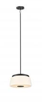 DVI Lighting DVP48520EB-TO - Robson Hall 13" Pendant