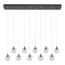 Hubbardton Forge - Canada 131203-SKT-STND-14-ZM0709 - Ume 10-Light Pendant