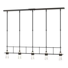 Hubbardton Forge - Canada 137725-SKT-STND-14-ZM0343 - Erlenmeyer 5 Light Pendant