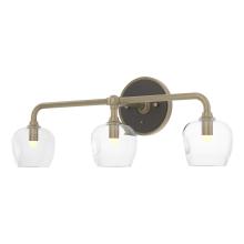 Hubbardton Forge - Canada 201342-SKT-84-14-ZM0709 - Ume 3-Light Curved Arm Bath Sconce