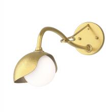 Hubbardton Forge - Canada 201376-SKT-86-86-GG0711 - Brooklyn 1-Light Single Shade Long-Arm Sconce