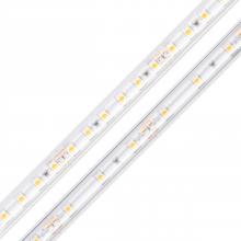 Diode Led DI-24V-BLBSC3-63-W100 - STRIP/TAPE LIGHT