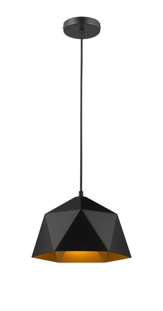 Black Single Pendant Lighting