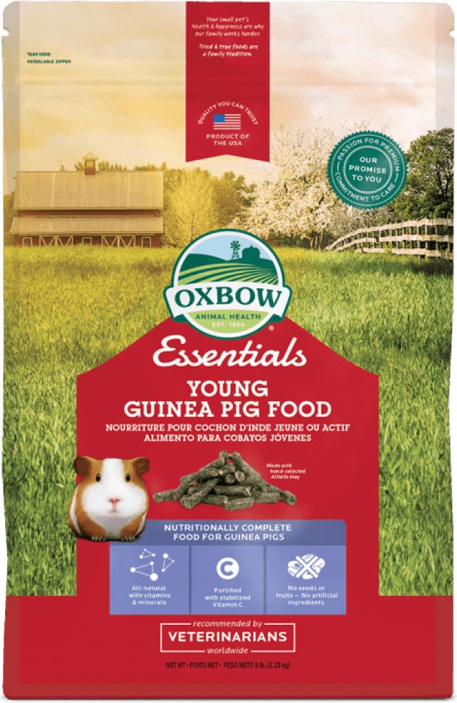 Essentials - Young Guinea Pig