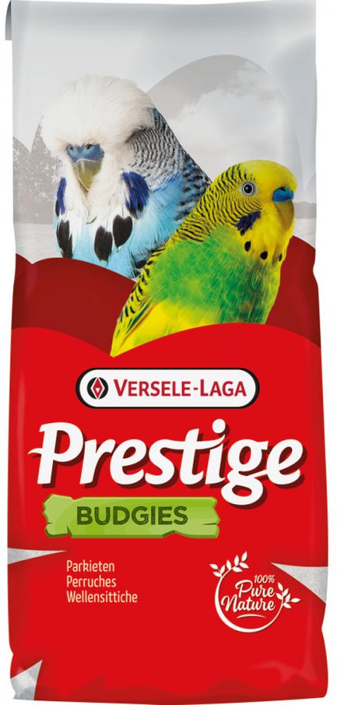 Budgies