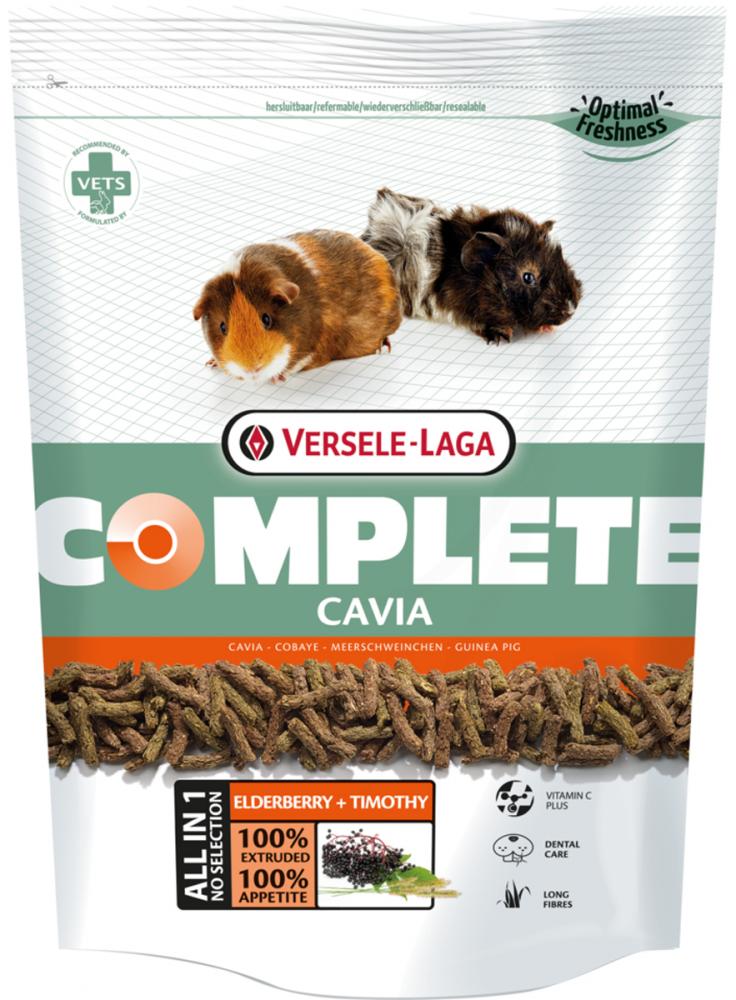 Cavia