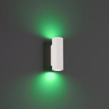 WAC Integrator Tier 1 3911-CSWT - Smart Color Changing LED Landscape Wall Mount Cylinder