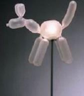 Balloon Dog